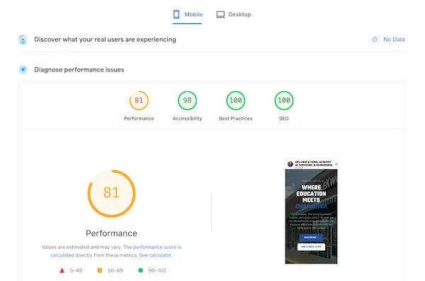 Mobile PageSpeed Insights report showing scores of 81 performance, 98 accessibility, 100 best practices and 100 SEO