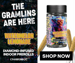 Gramlin prerolls programmatic ad